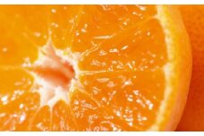 【数量限定】JAにしうわ みつる共選 「蜜る」 2.5kg（2S～2L）※離島への配送不可（2025年11月中旬より順次発送予定） 【 ふるさと納税 人気 おすすめ ランキング 柑橘 ミカン みかん 蜜る mikan 光センサー 糖度12度 果物 生果 フルーツ ブランド 旬 西宇和 贈答 贈り物 プレゼント ギフト 愛媛県産 愛媛県 伊方町 送料無料 】 IKTBC003