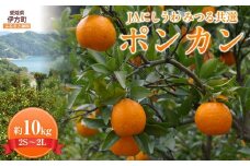 【先行予約】【数量限定】JAにしうわ みつる共選 ポンカン約10kg（2S～2L）※離島への配送不可（2026年1月中旬より順次発送予定） 【 ふるさと納税 人気 おすすめ ランキング ぽんかん ポンカン みかん ミカン 果物 果実 柑橘 フルーツ でこぽん デコポン 旬 生果 デザート くだもの 国産 甘い 西宇和 贈答 贈り物 ギフト 愛媛県産 愛媛県 伊方町 送料無料 】 IKTBC005