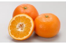 【先行予約】【数量限定】JAにしうわ みつる共選 伊予柑 約10kg ※離島への配送不可（2026年1月上旬より順次発送予定） 【 ふるさと納税 人気 おすすめ ランキング みかん ミカン 伊予柑 いよかん 果物 果実 柑橘 フルーツ 旬 生果 デザート くだもの 国産 甘い 西宇和 贈答 贈り物 プレゼント ギフト 愛媛県産 愛媛県 伊方町 送料無料 】 IKTBC007