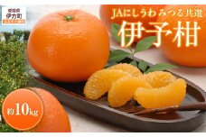 【先行予約】【数量限定】JAにしうわ みつる共選 伊予柑 約10kg ※離島への配送不可（2026年1月上旬より順次発送予定） 【 ふるさと納税 人気 おすすめ ランキング みかん ミカン 伊予柑 いよかん 果物 果実 柑橘 フルーツ 旬 生果 デザート くだもの 国産 甘い 西宇和 贈答 贈り物 プレゼント ギフト 愛媛県産 愛媛県 伊方町 送料無料 】 IKTBC007