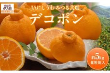 【先行予約】【数量限定】JAにしうわ みつる共選 デコポン 約5kg（化粧箱）※離島への配送不可（2026年2月中旬より順次発送予定） 【 ふるさと納税 人気 おすすめ ランキング みかん ミカン デコポン 不知火 しらぬい 果物 果実 柑橘 フルーツ 旬 生果 デザート くだもの 国産 甘い 西宇和 贈答 贈り物 プレゼント ギフト 愛媛県産 愛媛県 伊方町 送料無料 】 IKTBC008