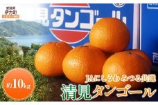 【先行予約】【数量限定】JAにしうわ みつる共選 清見タンゴール 約10kg ※離島への配送不可（2026年3月上旬より順次発送予定） 【 ふるさと納税 人気 おすすめ ランキング みかん ミカン 清見 清見タンゴール 果物 果実 柑橘 フルーツ 旬 生果 デザート くだもの 国産 甘い 西宇和 贈答 贈り物 プレゼント ギフト 愛媛県産 愛媛県 伊方町 送料無料 】 IKTBC009