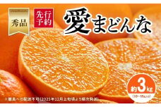 【先行予約】【秀品】愛まどんな 約3kg（10～15玉入り）※離島への配送不可（2025年12月上旬頃より順次発送） 【 ふるさと納税 人気 おすすめ ランキング みかん ミカン 蜜柑 柑橘 愛まどんな まどんな mikan 秀品 贈答用 贈答 ギフト プレゼント 贈り物 果物 フルーツ 旬 みさき果樹園 愛媛県産 愛媛県 伊方町 送料無料 】 IKTAR003