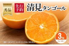 【先行予約】【秀品】清見タンゴール 3kg（L・2L）※離島への配送不可 （2026年3月上旬頃より順次発送）【 ふるさと納税 人気 おすすめ ランキング みかん ミカン 蜜柑 柑橘 清見 清見タンゴール フルーツ 果物 旬 秀品 贈答用 贈答 ギフト プレゼント 贈り物 愛媛県産 愛媛県 伊方町 送料無料 】 IKTAR011