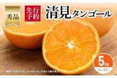 【先行予約】【秀品】清見タンゴール 5kg（L～3L）※離島への配送不可 （2026年3月上旬頃より順次発送） 【 ふるさと納税 人気 おすすめ ランキング みかん ミカン 蜜柑 柑橘 清見 清見タンゴール フルーツ 果物 旬 秀品 贈答用 贈答 ギフト プレゼント 贈り物 愛媛県産 愛媛県 伊方町 送料無料 】 IKTAR012