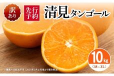【先行予約】【訳あり】清見タンゴール 10kg（M～3L）※離島への配送不可 （2026年3月上旬頃より順次発送） 【 ふるさと納税 人気 おすすめ ランキング みかん ミカン 蜜柑 柑橘 清見 清見タンゴール フルーツ 果物 旬 訳あり 自宅用 愛媛県産 愛媛県 伊方町 送料無料 】 IKTAR014