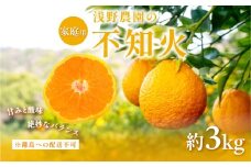【先行予約】【家庭用】不知火 約3kg ※離島への配送不可（2026年2月上旬頃より順次発送予定） 【 ふるさと納税 人気 おすすめ ランキング 柑橘 みかん ミカン フルーツ 果物 でこぽん デコポンと同品種 愛媛県 伊方町 送料無料 】IKTAC003