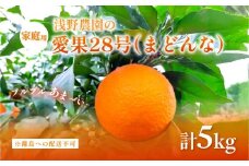 【先行予約】【数量限定】浅野農園の愛果28号（まどんな）家庭用5kg※離島への配送不可（2025年12月中旬～2026年1月中旬頃に順次発送予定） 【 ふるさと納税 人気 おすすめ ランキング 柑橘 みかん ミカン フルーツ 果物 愛媛 有名 代表 高級 愛媛県産 愛媛みかん 浅野農園 愛媛県 伊方町 送料無料 】IKTAC025