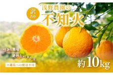 【先行予約】訳あり 不知火 計10kg ※離島への配送不可（2026年2月上旬頃より順次発送予定） 【 ふるさと納税 人気 おすすめ ランキング 柑橘 みかん ミカン フルーツ 果物 でこぽん デコポンと同品種 愛媛 愛媛県産 愛媛みかん 浅野農園 愛媛県 伊方町 送料無料 】IKTAC030