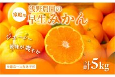 【先行予約】浅野農園の早生みかん 家庭用5kg ※着日指定不可 ※離島への配送不可（2025年11月上旬～11月中旬頃に順次発送予定） 【 ふるさと納税 人気 おすすめ ランキング みかん 柑橘 ミカン 蜜柑 mikan 果物 フルーツ オレンジ 家庭用 5kg 早生 愛媛県 伊方町 送料無料 】IKTAC002