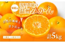 【先行予約】浅野農園の温州みかん 家庭用5kg ※離島への配送不可（2025年12月上旬～12月中旬頃に順次発送予定 ） 【 ふるさと納税 人気 おすすめ ランキング みかん 柑橘 ミカン 蜜柑 mikan 果物 フルーツ オレンジ 家庭用 5kg 愛媛県 伊方町 送料無料 】IKTAC004