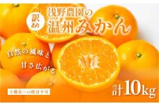 【先行予約】浅野農園の温州みかん 訳あり10kg ※離島への配送不可（2025年12月上旬～12月中旬頃に順次発送予定） 【 ふるさと納税 人気 おすすめ ランキング みかん 柑橘 ミカン 蜜柑 mikan 果物 フルーツ オレンジ 温州 訳あり 10kg  愛媛県 伊方町 送料無料 】IKTAC005