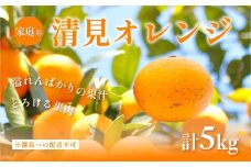 【先行予約】【家庭用】清見オレンジ計5kg ※離島への配送不可（2026年3月上旬頃より順次発送予定） 【 ふるさと納税 人気 おすすめ ランキング みかん 柑橘 ミカン 蜜柑 mikan 果物 フルーツ オレンジ 早生 愛媛県 伊方町 送料無料 】IKTAC007