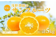 【先行予約】【家庭用】浅野農園のサンフルーツ5kg ※離島への配送不可（2026年4月中旬頃より順次発送予定） 【 ふるさと納税 人気 おすすめ ランキング 柑橘 みかん ミカン オレンジ  サンフルーツ フルーツ 果物 くだもの 旬 愛媛県産 愛媛みかん 浅野農園 愛媛県 伊方町 送料無料 】IKTAC010