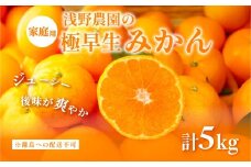 【先行予約】浅野農園の極早生みかん 家庭用5kg ※離島への配送不可（2025年10月上旬～11月中旬頃より順次発送予定） 【 ふるさと納税 人気 おすすめ ランキング 柑橘 みかん ミカン オレンジ 家庭用 フルーツ 果物 5kg くだもの 旬 愛媛県産 愛媛みかん 浅野農園 愛媛県 伊方町 送料無料 】IKTAC012