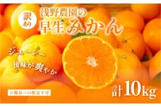 【先行予約】浅野農園の早生みかん 訳あり10kg ※離島への配送不可（2025年11月上旬～11月中旬頃に順次発送予定）  【 ふるさと納税 人気 おすすめ ランキング 柑橘 みかん ミカン オレンジ 訳あり フルーツ 果物 10kg くだもの 旬 愛媛県産 愛媛みかん 浅野農園 愛媛県 伊方町 送料無料 】IKTAC013