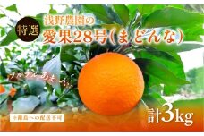 【先行予約】【数量限定】浅野農園の愛果28号（まどんな）特選3kg ※離島への配送不可（2025年12月中旬～2026年1月中旬頃に順次発送予定） 【 ふるさと納税 人気 おすすめ ランキング 柑橘 みかん ミカン フルーツ 果物 愛媛 有名 代表 高級 愛媛県産 愛媛みかん 浅野農園 愛媛県 伊方町 送料無料 】IKTAC023
