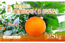 【先行予約】【数量限定】浅野農園の愛果28号（まどんな）訳あり5kg ※離島への配送不可（2025年12月中旬～2026年1月中旬頃に順次発送予定） 【 ふるさと納税 人気 おすすめ ランキング 柑橘 みかん ミカン フルーツ 果物 愛媛 有名 代表 高級 愛媛県産 愛媛みかん 浅野農園 愛媛県 伊方町 送料無料 】IKTAC026
