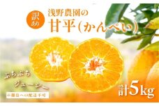 【先行予約】【数量限定】【訳あり】浅野農園の甘平（かんぺい）5kg ※離島への配送不可（2026年2月中旬頃より順次発送予定） 【 ふるさと納税 人気 おすすめ ランキング 柑橘 みかん ミカン フルーツ 果物 愛媛 有名 代表 高級 愛媛県産 愛媛みかん 浅野農園 愛媛県 伊方町 送料無料 】IKTAC028