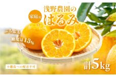 【先行予約】【家庭用】はるみ計5kg※離島への配送不可（2026年2月上旬頃より順次発送予定） 【 ふるさと納税 人気 おすすめ ランキング 柑橘 みかん ミカン フルーツ 果物 愛媛 有名 代表 高級 愛媛 愛媛県産 愛媛みかん 浅野農園 愛媛県 伊方町 送料無料 】IKTAC031