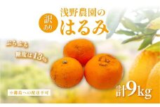 【先行予約】【訳あり】はるみ9kg※離島への配送不可（2026年2月上旬頃より順次発送予定） 【 ふるさと納税 人気 おすすめ ランキング 柑橘 みかん ミカン フルーツ 果物 愛媛 有名 代表 高級 愛媛 愛媛県産 愛媛みかん 浅野農園 愛媛県 伊方町 送料無料 】IKTAC032