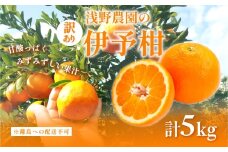 【先行予約】【訳あり】伊予柑5kg ※離島への配送不可（2026年2月上旬頃より順次発送予定 ） 【 ふるさと納税 人気 おすすめ ランキング 柑橘 みかん ミカン オレンジ 清見 清見オレンジ フルーツ 果物 くだもの 旬 愛媛県産 愛媛みかん 浅野農園 愛媛県 伊方町 送料無料 】IKTAC034