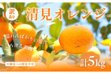 【先行予約】訳あり 清見オレンジ計5kg ※離島への配送不可（2026年3月上旬頃より順次発送予定） 【 ふるさと納税 人気 おすすめ ランキング 柑橘 みかん ミカン オレンジ 清見 清見オレンジ 訳あり フルーツ 果物 くだもの 旬 愛媛県産 愛媛みかん 浅野農園 愛媛県 伊方町 送料無料 】 IKTAC008