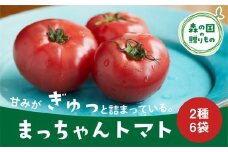 松比良さんの「まっちゃんトマト」（完熟の桃太郎、アイコ） ◇
