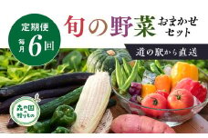 【毎月6回定期便】道の駅「虹の森公園まつの」産直市 新鮮野菜セット6種類以上 ◇ ｜ 野菜 お野菜 やさい 新鮮野菜 お試し おすすめ 季節 季節野菜 詰め合わせ 旬　厳選 産地直送 おまかせ 野菜セット ふるさと納税 愛媛県 松野町