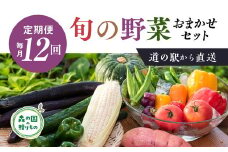 【毎月12回定期便】道の駅「虹の森公園まつの」産直市 新鮮野菜セット6種類以上＆特産品セット ◇ ｜ 野菜 お野菜 やさい 新鮮野菜 お試し おすすめ 季節 季節野菜 詰め合わせ 旬　厳選 産地直送 おまかせ 野菜セット ふるさと納税 愛媛県 松野町