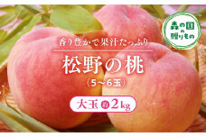 【産直・人気の特産品】森の国・松野町の桃 大玉（5～6玉）｜ もも　モモ　桃　フルーツ　果物　くだもの　果実　2kg　大玉　厳選　贈答　贈り物　愛媛　森の国　先行予約　数量限定　期間限定　※沖縄、離島への配送不可（北海道は可）　※2025年6月中旬頃より順次発送予定
