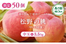【産直・人気の特産品】森の国・松野町の桃 中玉（11～12玉）｜ もも　モモ　桃　フルーツ　果物　くだもの　果実　3.5kg　中玉　厳選　贈答　贈り物　愛媛　森の国　先行予約　数量限定　期間限定　※沖縄、離島への配送不可（北海道は可）　※2025年6月中旬頃より順次発送予定