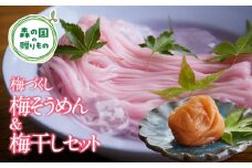 【松野町産 南高梅使用】香りひろがる梅そうめん・梅干しセット ◆ ※うす塩味（500g） ｜ 梅干し 梅 うめ 南高梅 しそ漬 肉厚 手延べ 五色 そうめん 文部科学大臣賞 受賞 マツノイズムプロジェクト マツノイズム 愛媛県 松野町 高校生 特産品 ふるさと納税 お取り寄せ