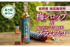【松野町産 南高梅使用】梅シロップ（500ml）と梅と唐辛子の調味料「プラムスコ」（100ml）のセット◇ 