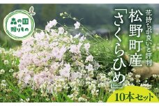 【産地直送】さくらひめ（秀）10本セット ◇　※2024年2月中旬頃～3月中旬頃発送予定