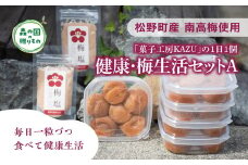 【松野町産 南高梅使用】「菓子工房KAZU」の1日1個 健康・梅生活セットA（４Lサイズ梅干し6個×5箱＋梅塩（50g）×2袋）◇ 