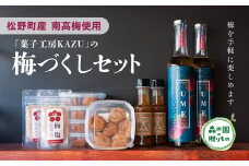 【松野町産 南高梅使用】「菓子工房KAZU」の梅づくしセット（梅シロップ500ml×2本+プラムスコ100ml×2本+梅塩50g×2袋+4Lサイズ梅干し6個×5箱）◇ 