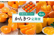 【愛媛県共通返礼品】【定期便】愛媛の柑橘定期便（全6回）（日の丸みかん・紅まどんな・いよかん・不知火（デコポン）・せとか・河内晩柑）◇　※2025年11月下旬～2026年4月下旬に毎月1回発送予定