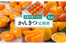 【愛媛県共通返礼品】【定期便】愛媛の柑橘定期便（全6回）（日の丸みかん・紅まどんな・いよかん・不知火（デコポン）・せとか・河内晩柑）◇　※2025年11月下旬～2026年4月下旬に毎月1回発送予定