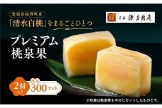 宗家　源吉兆庵 希少な清水白桃を贅沢にまるごとひとつ！プレミアム桃泉果（2個入り）◇ ｜ 宗家 源吉兆庵 和菓子 お菓子 清水白桃 白桃 もも モモ 桃 限定 高級 ギフト 贈り物　贈答 お祝い プレミアム 贅沢 スイーツ 愛媛県 松野町 お取り寄せ