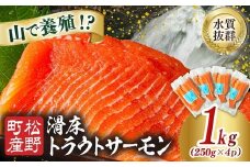 【森の国で養殖】滑床トラウトサーモン 1kg（250g×4P） ｜ 刺身 小分け 切り身 ふるさと納税 国産 冷凍 ※離島への配送不可