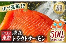 【森の国で養殖】滑床トラウトサーモン 500g（250g×2P） ｜ 刺身 小分け 切り身 ふるさと納税 国産 冷凍 ※離島への配送不可