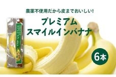 純国産！ プレミアム　スマイル　イン・バナナ 6本＜バナナ ばなな 果物 フルーツ 高級 国産 プレミア 朝食 スムージー 贈答 愛媛県 鬼北町＞