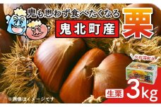 【鬼の栗拾い】鬼北町産くり 約3kg ｜ 大粒 生栗 和栗 国産栗 地域限定 丹波栗 くり 栗 栗ご飯 生栗 果物 フルーツ 先行予約 数量限定 ※離島への配送不可 ※2025年9月中旬～10月上旬頃に順次発送予定