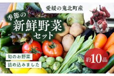 鬼北の大地が育んだ新鮮野菜！季節の新鮮野菜詰め合わせ　＜野菜 やさい 詰め合わせ 新鮮 旬 季節 愛媛県 鬼北町＞