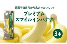 スマイル　イン・バナナ　3本＜バナナ ばなな 果物 フルーツ 高級 国産 プレミア 朝食 スムージー 贈答 愛媛県 鬼北町＞