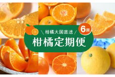 【定期便】2025年11月発送開始　えひめかんきつ定期便　全6回＜みかん 柑橘 フルーツ 定期便 国産 愛媛県 ＞　※離島への配送不可　※2025年11月下旬～2026年4月下旬頃に順次発送予定