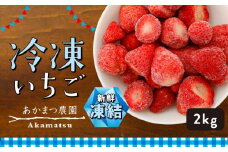冷凍いちご 2kg あかまつ農園 ＜苺 いちご イチゴ 果物 フルーツ 農家直送 レッドパール 紅い雫 スムージー ジャム お菓子づくり＞