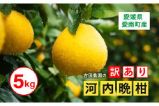 訳あり 河内晩柑5kg（家庭用） ＜柑橘 希少 果物 国産 フルーツ みかん 蜜柑 訳あり 家庭用 和製 グレープフルーツ ブランド 愛媛 果実 ビタミン ＞ ※2025年4月上旬～8月中旬頃に順次発送予定