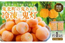 冷凍鬼あかり（ほおずき）500g×2パック ｜ 鬼灯 ホウズキ 特産品 冷凍 フルーツ ジャム 愛媛県 鬼北町